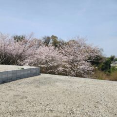 本日、現地説明会✨